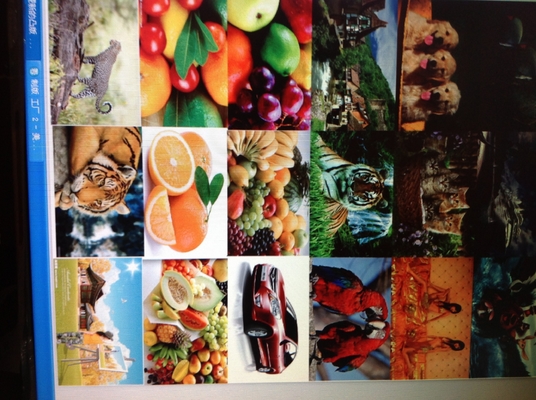 De Drukmachine van Flexo van het hoge snelheidsetiket met Matrijzen Scherp Systeem, 220V/380V/Customize-Voltage, de Brutomacht van 30kw