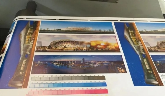 De servo Autoflexo-Printer voor Etiketten met 6 Kleuren, 6 kleurt Flexo-Drukmachine voor Etiketten 80m/Min Five Color Roll To R