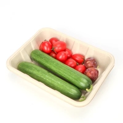 Hoge snelheids Biologisch afbreekbare Medische Document Zak die Machine voor Milieuvriendelijke Beschikbare Lunchvakjes maken