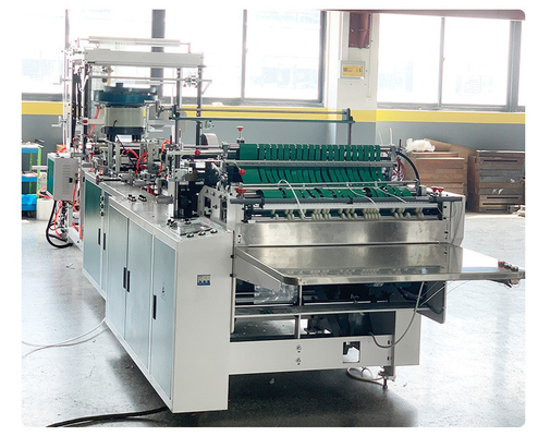 De automatische Ritssluitingszak die Machine12kw Pe maken berijpte Film Verpakking