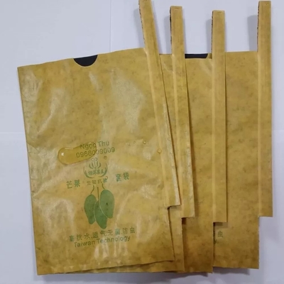 Het Document van Kraftpapier van het mangofruit Zak die Machine 3KW Automatisch maken